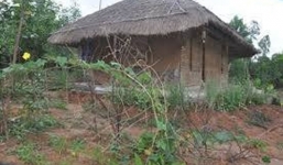 Phận đời cay đắng của thiếu nữ lấy kẻ cưỡng bức mình làm chồng